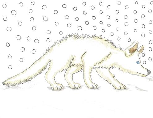 drawing of white Arctic fox blending into the snow