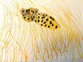 drawing of a leopard blending into the dry yellow grass