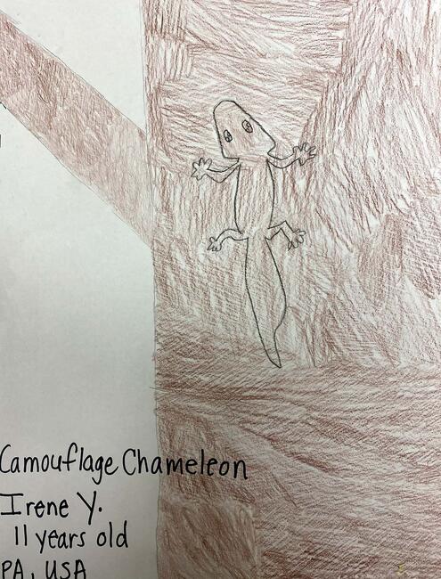 drawing of brown chameleon blending into the tree trunk