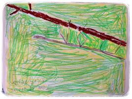 drawing of a walking stick bug on a tree branch