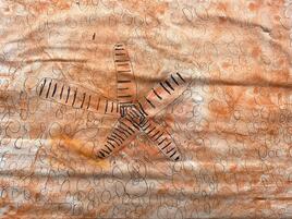 drawing of a sea star blending into the sandy environment