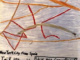 drawing of a stick bug camouflaging in branches