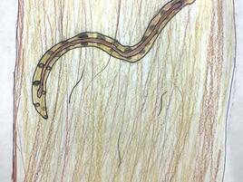 drawing of a camouflaging snake