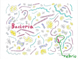 colorful drawing of bacteria