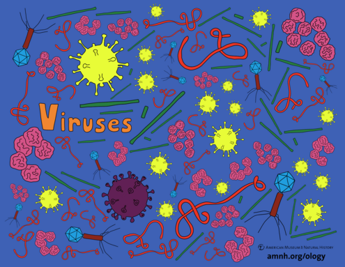 colorful illustration of viruses