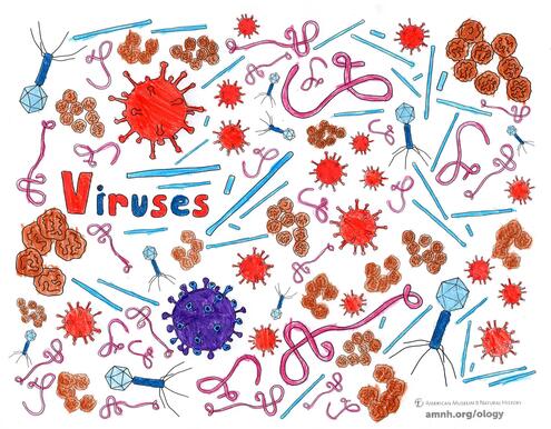 colorful illustration of viruses