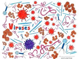 colorful illustration of viruses