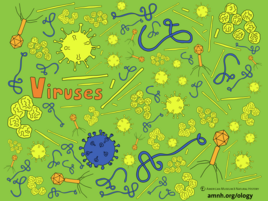 colorful illustration of viruses