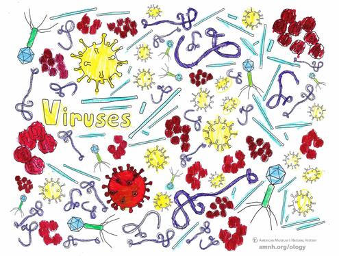 colorful illustration of viruses