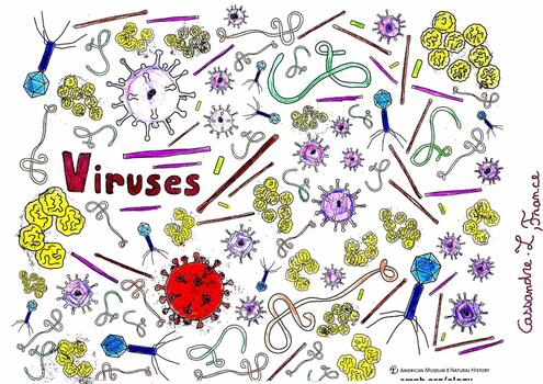 colorful illustration of viruses