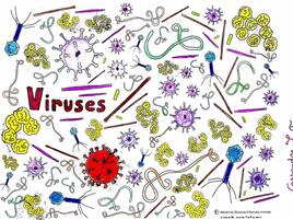 colorful illustration of viruses