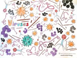 colorful illustration of viruses