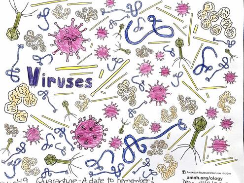 colorful illustration of viruses