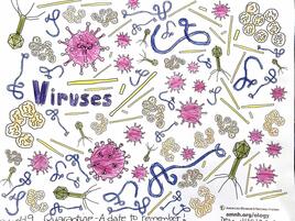 colorful illustration of viruses