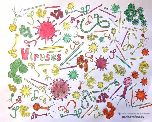 colorful illustration of viruses