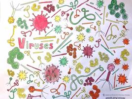 colorful illustration of viruses