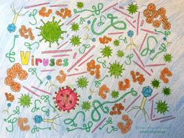 colorful illustration of viruses