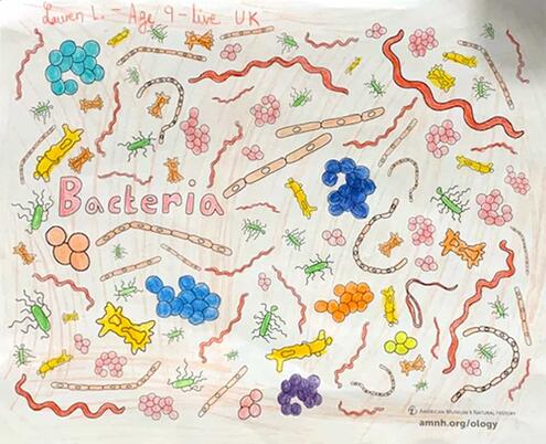 colorful illustration of bacteria