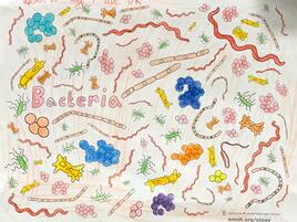 colorful illustration of bacteria