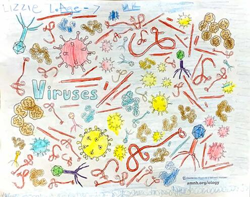 colorful illustration of viruses