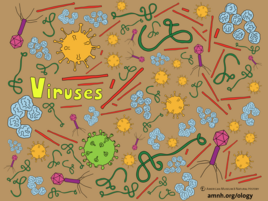 colorful illustration of viruses