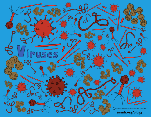 colorful illustration of viruses