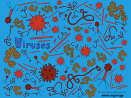 colorful illustration of viruses