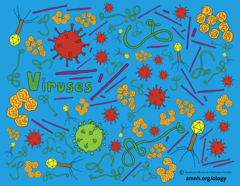 colorful illustration of viruses