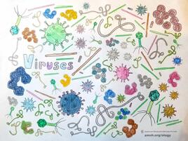 colorful illustration of viruses