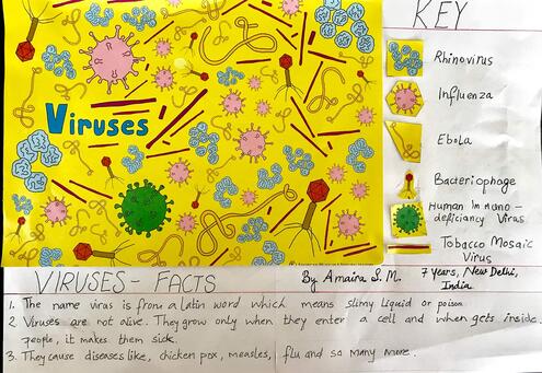 colorful illustration of viruses