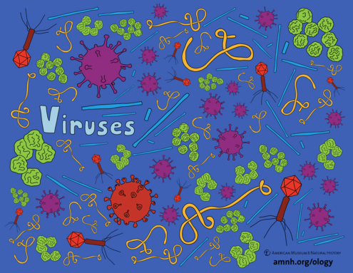 colorful illustration of viruses