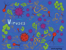 colorful illustration of viruses