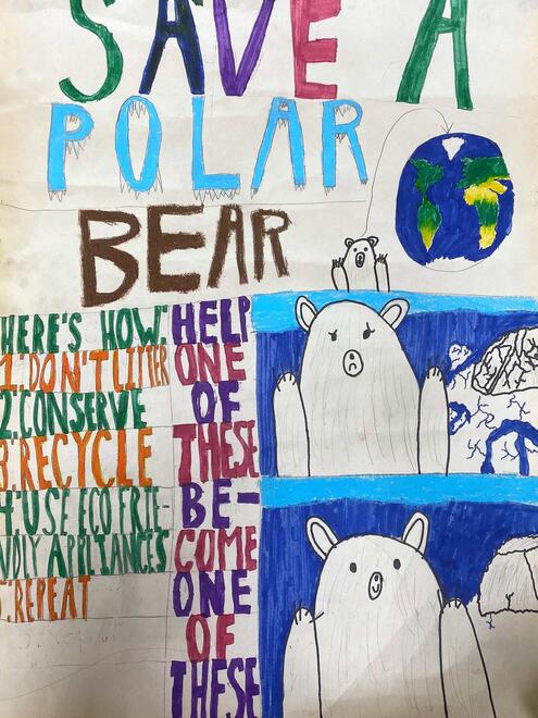 poster with headline Save A Polar Bear and the things we can do to help