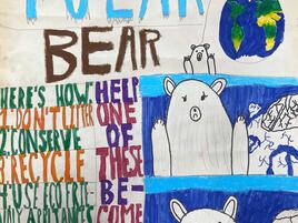 poster with headline Save A Polar Bear and the things we can do to help