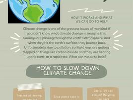 Poster about how to slow down climate change