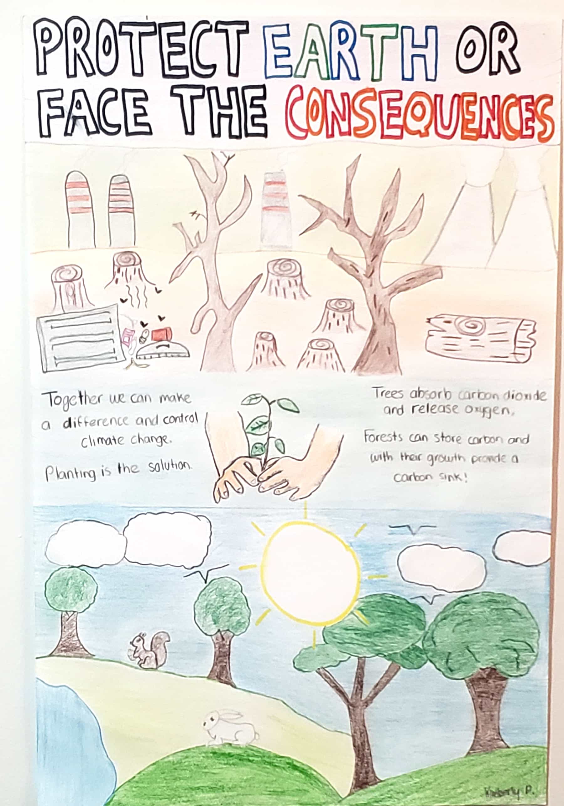 Create a Climate Poster Challenge Winners AMNH