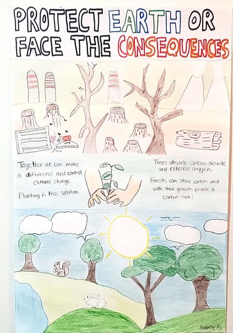 poster showing how we can protect the Earth or face the consequences