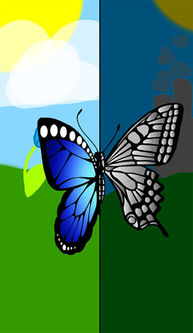 illustration of a butterfly with left half in full color and right half semi-grayed out