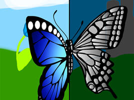 illustration of a butterfly with left half in full color and right half semi-grayed out