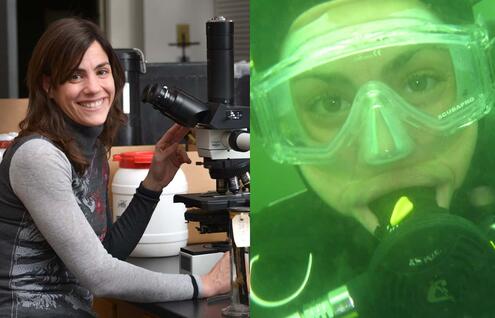 Estefanía Rodríguez at a microscope and also underwater in scuba mask