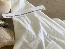 Rocks and tissues