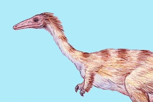 colored illustration of Mononykus