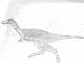 dinosaur illustration