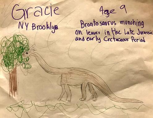 brontosaurus illustration