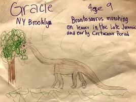 brontosaurus illustration