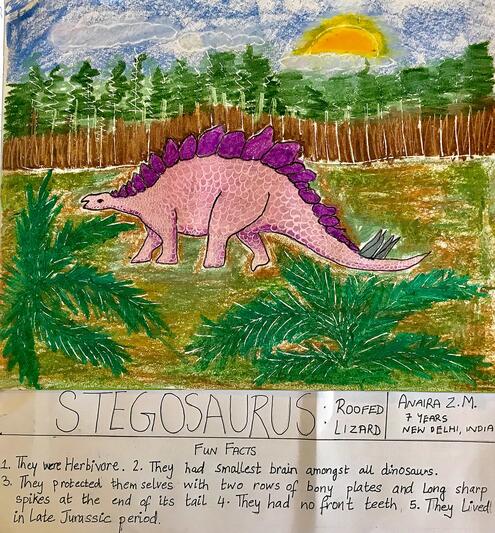 stegosaurus illustration in landscape
