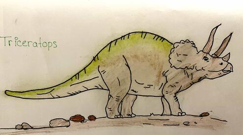 Triceratops illustration