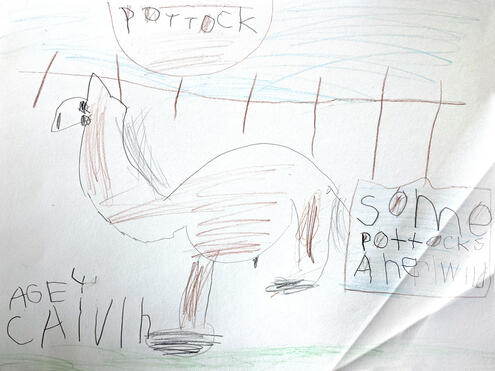 drawing of a horse in a paddock