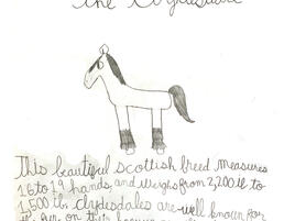 line drawing of a Clydesdale horse