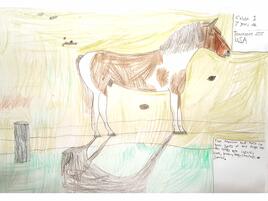 drawing of a paint horse
